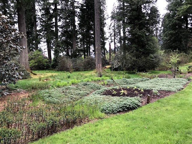 Place around image