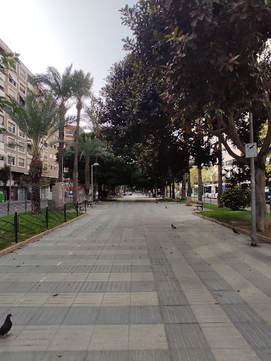 Avenida de Óscar Espla - Thumbnail