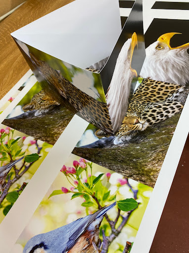 Newprint - Printers Newmarket, Suffolk - Thumbnail
