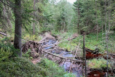 Photos of Līgatnes upes dabas taka
