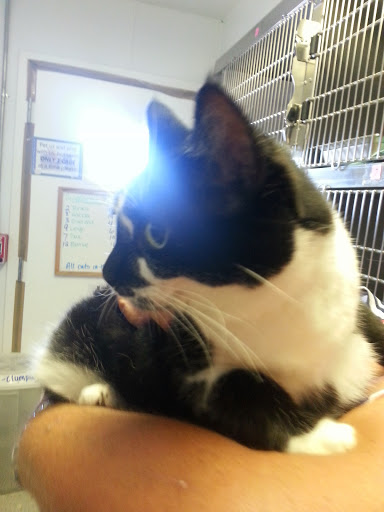 Humane Society of Erie County - Thumbnail