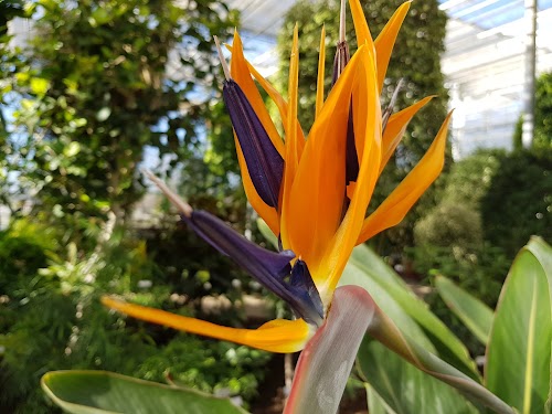 Nacionālais Botāniskais dārzs