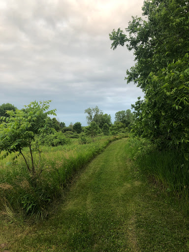 Liberty Creek Wildlife Area