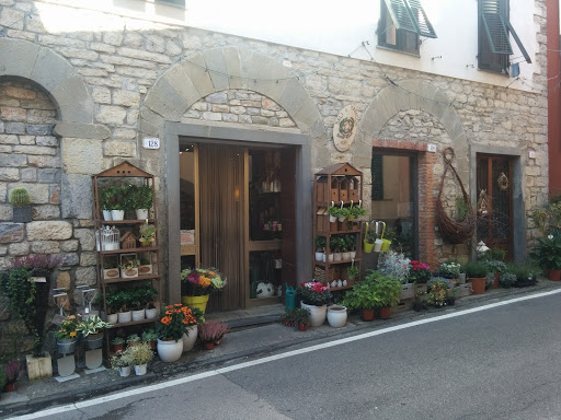 Barsanti Sabrina - Visual