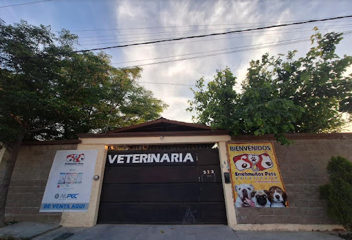 Errehmuñoz Pets