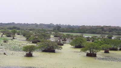 Photos of Kumana National Park entrance