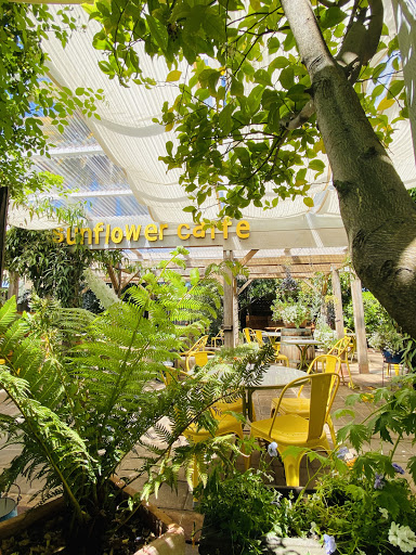 Sunflower Caffé - Visual