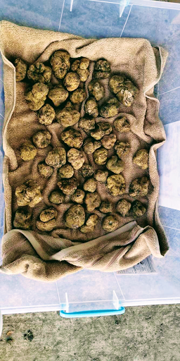 Truffle Store - Thumbnail