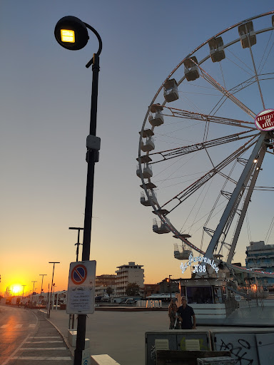 bellaria igea marina - Thumbnail