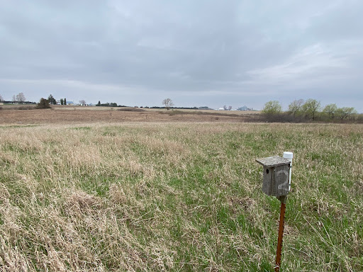 Rowley Fen - Visual