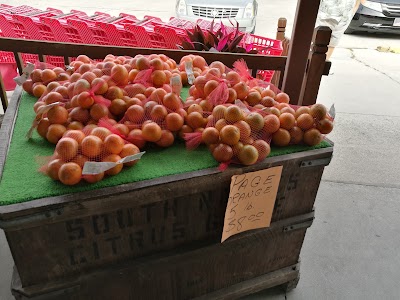 Photos of South Naples Citrus Grove