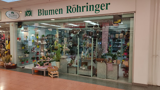 Blumen Röhringer im "Weißeritzpark" - Thumbnail