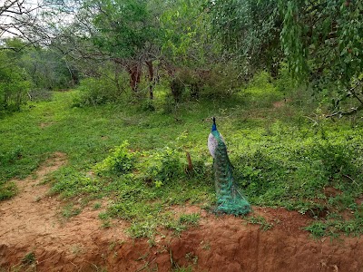 Photos of villa champagne