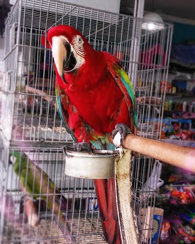 Photos of Mundo Animal - Pet's Shop