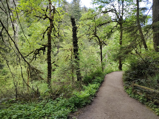 Macleay Park - Visual