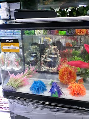 Ornamental Fish Aquarium, Author: Ellysmar Sulaiman