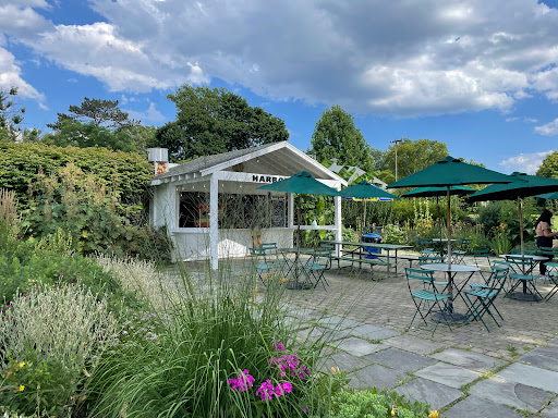 Harbor Eats - Visual