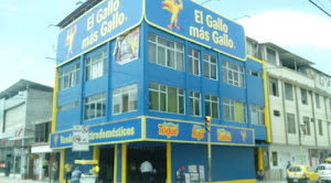 El Gallo más gallo 0