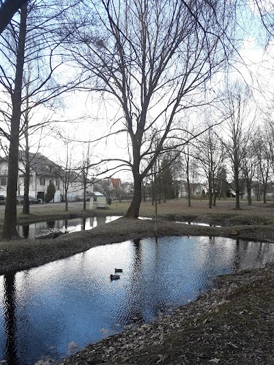 Photos of Naugardi&scaron;kių parkas