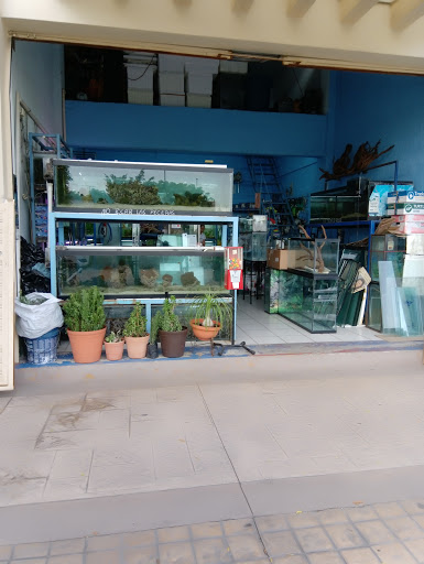 Acuario Borrayos Gallery - Mexico