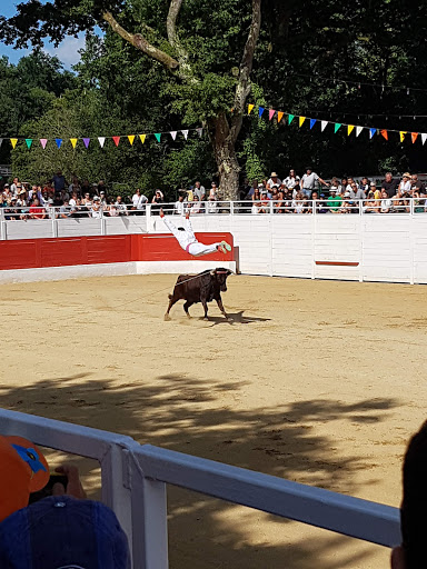 Arènes à Bégaar - Thumbnail