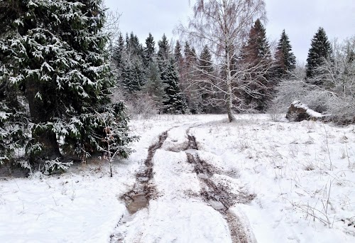 Kõnnu järve matkarada