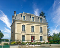 Carine MARIACOURT - Immobilier SAINT MAIXENT L'ECOLE - Capifrance à Exireuil