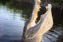 Captain Jack's Airboat Tours, Everglades City, United States