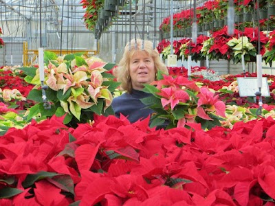 Pleasant Acres Nursery Inc