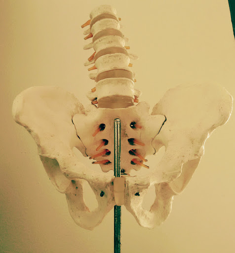 Osteopath .mx - Visual