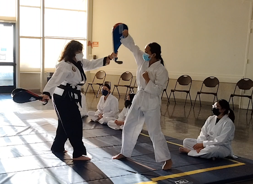 InNae Academy of Martial Arts LLC