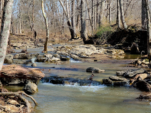 Knobs State Forest and WMA - Visual