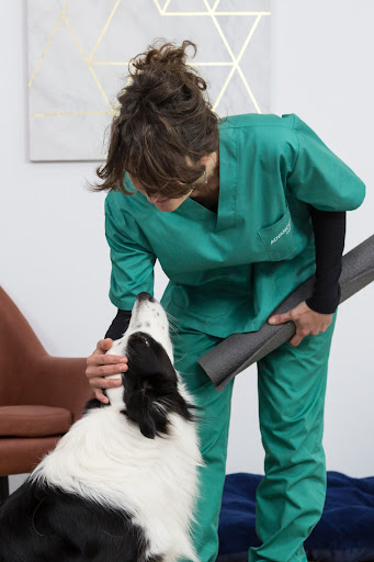 Claudia Cantón Veterinaria Quiropráctica