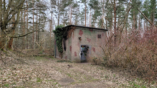 Seeberg - Visual