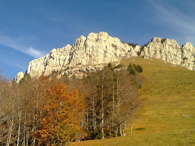 La Ruchère