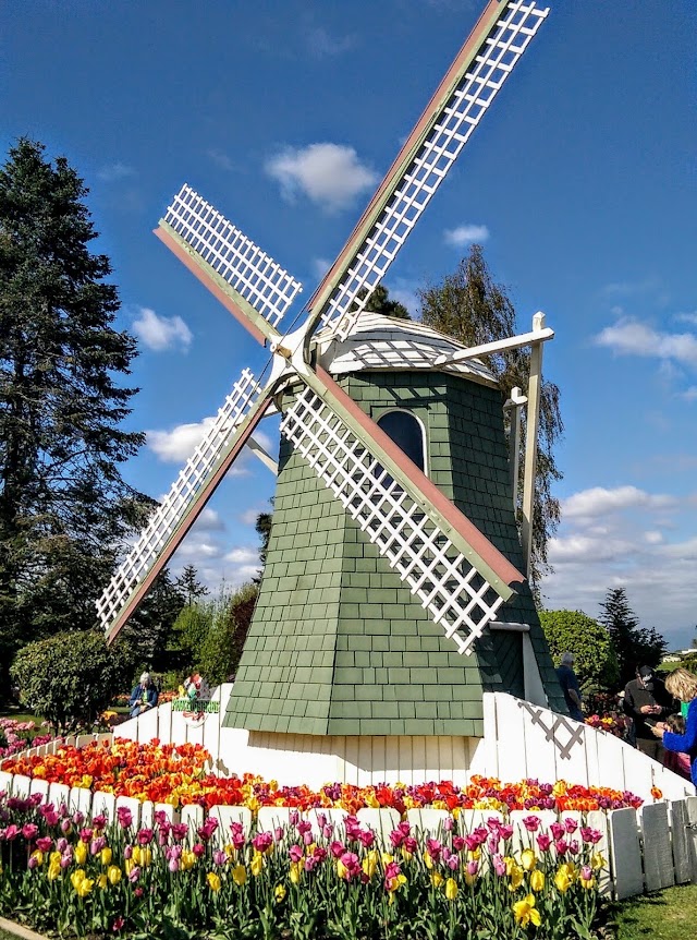 Skagit Valley Tulip Festival