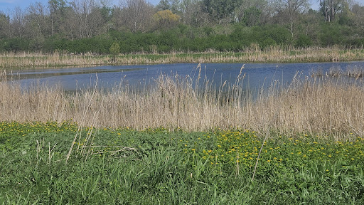 Montezuma National Wildlife Refuge - Thumbnail