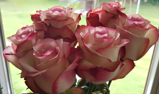 Blumen & Blickfang - Thumbnail