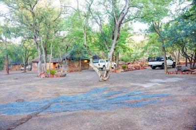 Photos of Lekota Safaris