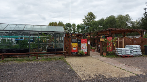 Chilli Ranch - Visual