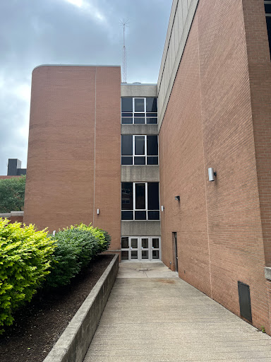 McLeod Hall - Visual