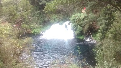 Photos of Caba&ntilde;a Caburgua