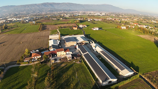 Munari Group Srl - Carmignano di Brenta, Provincia di Padova