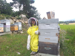 Photo n°16 de Blanc David Apiculture à Chastel-Nouvel (Miellerie)