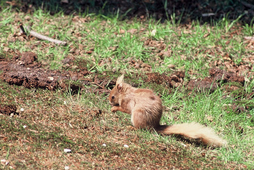 The Villa Wildlife Centre - Thumbnail