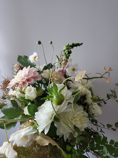 Chicory Kin Floral + Apothecary Logo