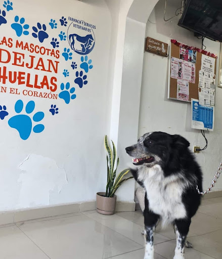 Farmacia y Servicios Veterinarios