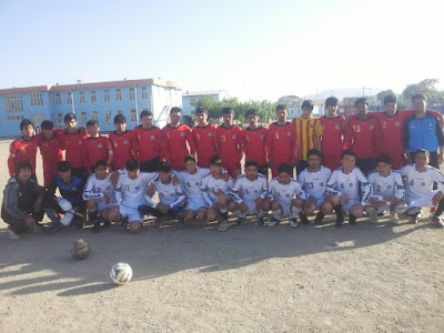 Shamsul Arifeen High School