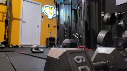 DD Fitness