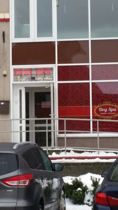 Photos of Dog Spa